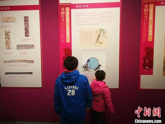 300余幅鼠年生肖文物图片亮相河北系统介绍中国鼠文化