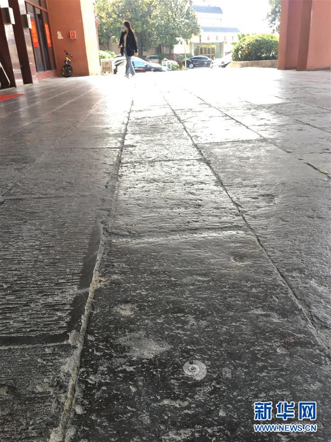 （图文互动）（4）张家界：几亿年前的“化石地板”记录沧海桑田