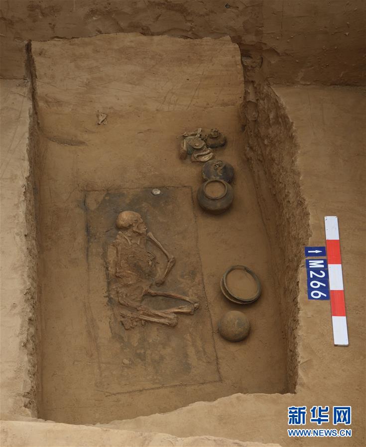 （图文互动）（8）黄河边发现大型古墓群 出土文物2000余件