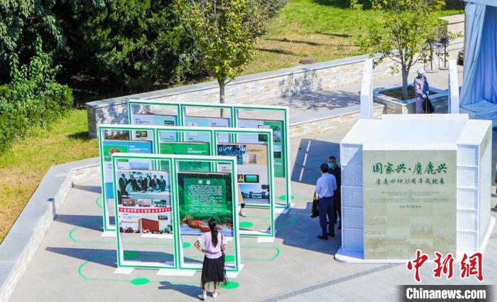 麋鹿重返中国35周年北京举办系列活动促科普、传播文化